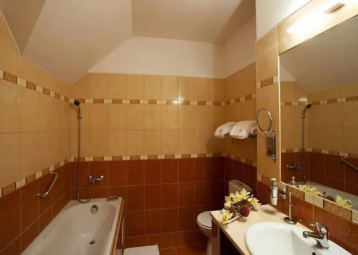 Savoy 4* Ceske Budejovice